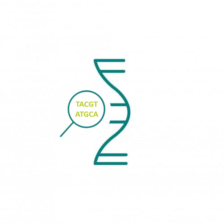 RNA Sequencing