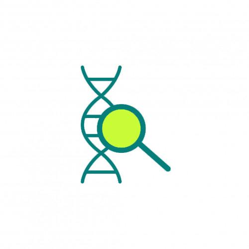 Reverse Transcription (cDNA Synthesis)