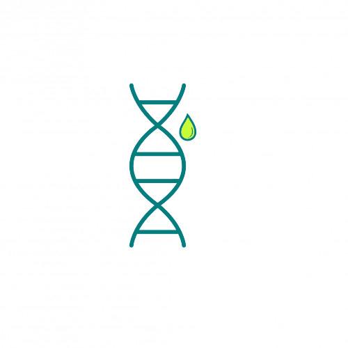 Nucleic Acids Purification & Extraction