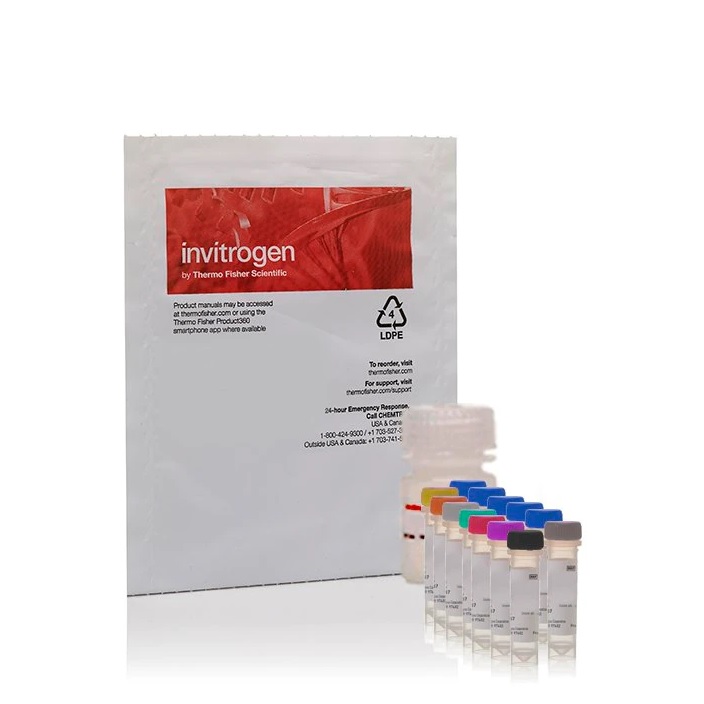 Invitrogen™ Amplex™ Red Sphingomyelinase Assay Kit