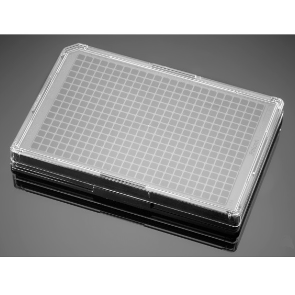 Corning® BioCoat® Collagen I 384-well Black/Clear Flat Bottom Microplate, w/Lid, 80/Case