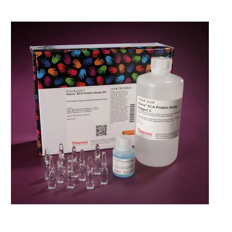 Thermo Scientific™ Pierce™ BCA Protein Assay Kit, 500 mL