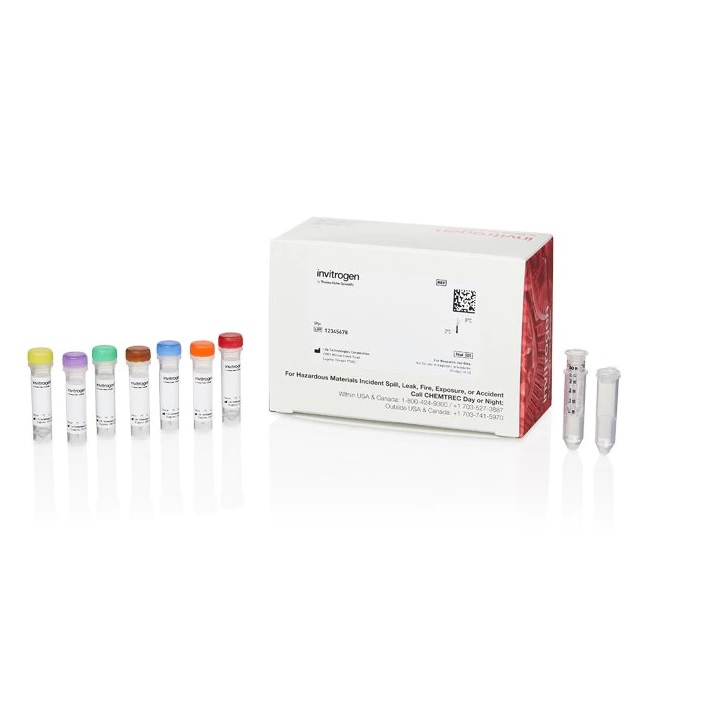 Invitrogen™ SiteClick™ Antibody Labeling Kits, Qdot 605, 100 μg