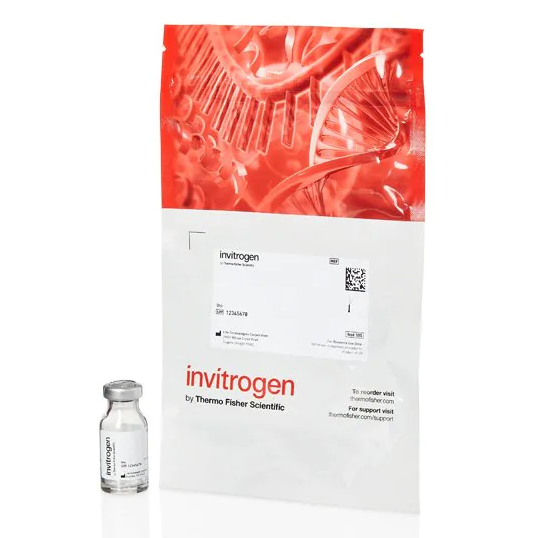 Invitrogen™ FluoSpheres™ Polystyrene Microspheres, 15 µm, Red-Orange Fluorescent (565/580), For Blood Flow Determination