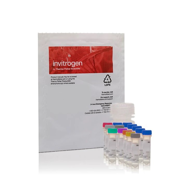 Invitrogen™ Amplex™ Red Monoamine Oxidase Assay Kit