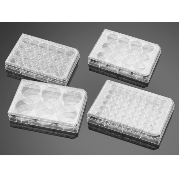 Corning® BioCoat® Collagen I 48-well Clear Flat Bottom TC-treated Multiwell Plate, with Lid, Nonsterile