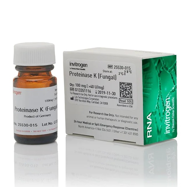 Invitrogen™ Proteinase K, recombinant, 100 mg