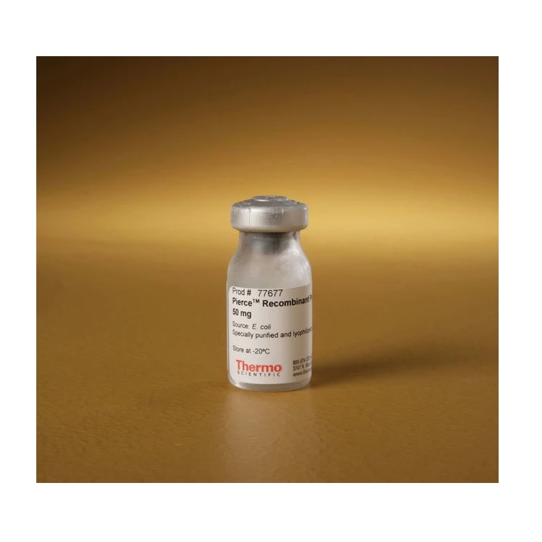Thermo Scientific™ Pierce™ Recombinant Protein A/G, 50 mg