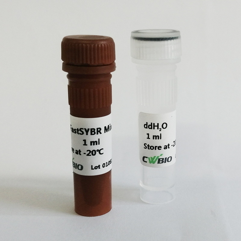 CWbio™, FastSYBR Mixture (High ROX), 40 ml