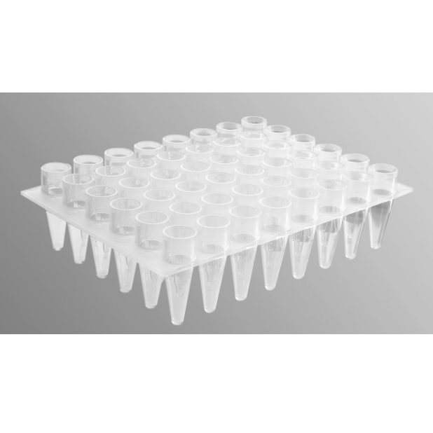 Axygen® 48-well Polypropylene PCR Microplate, Clear, Nonsterile