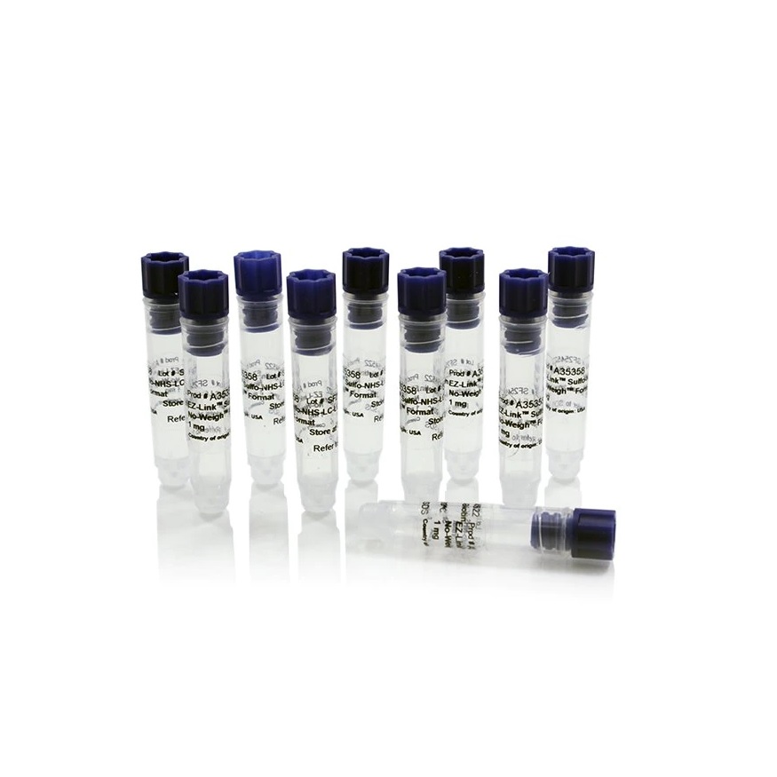 Thermo Scientific™ EZ-Link™ Sulfo-NHS-LC-LC-Biotin, 10 x 1 mg