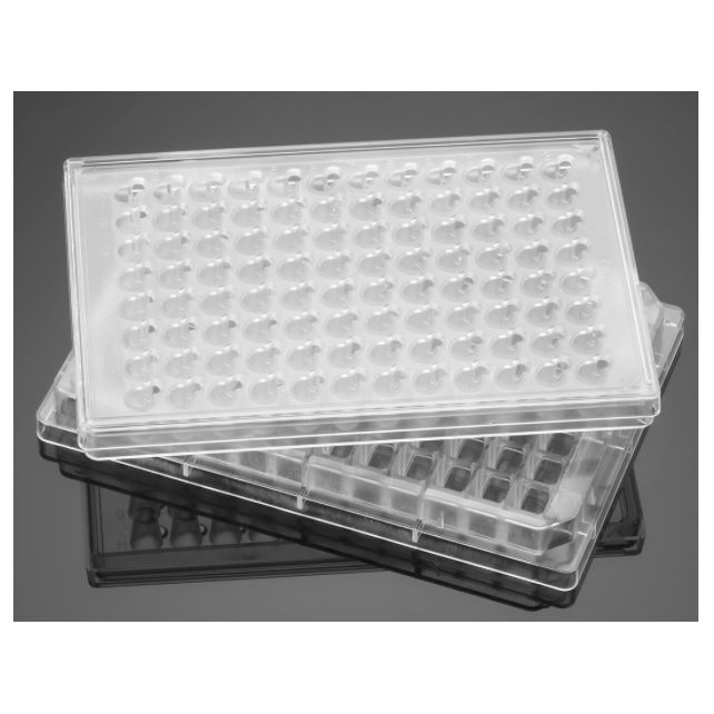 Corning® BioCoat® Tumor Invasion 96-well Microplate, with Lid, 5/Case
