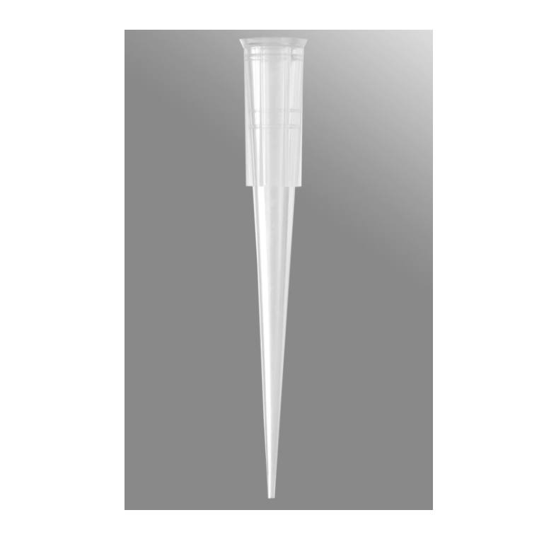 Axygen® 200 µL Maxymum Recovery® Universal Fit Pipet Tip, Beveled, Clear, Nonsterile