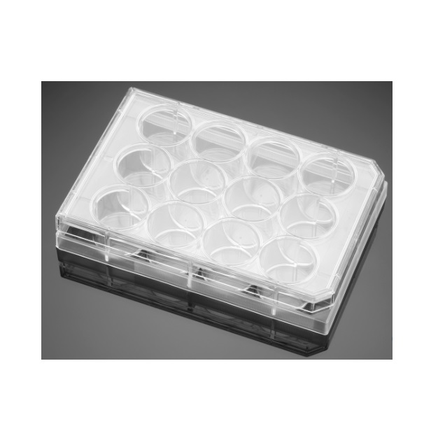Corning® BioCoat® Poly-D-Lysine 12-well Clear Flat Bottom TC-treated Multiwell Plate, with Lid, 50/Case
