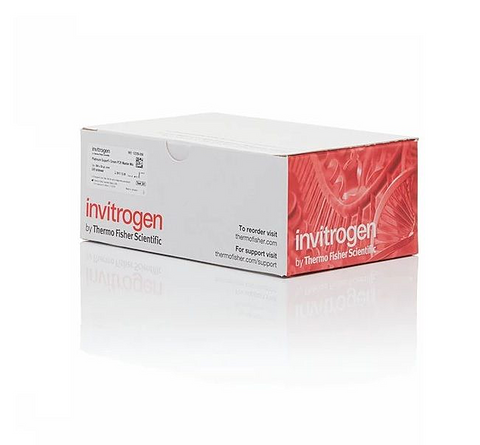 Invitrogen™ Nitrocellulose/Filter Paper Sandwich, 0.2 μm, 8.5 x 13.5 cm