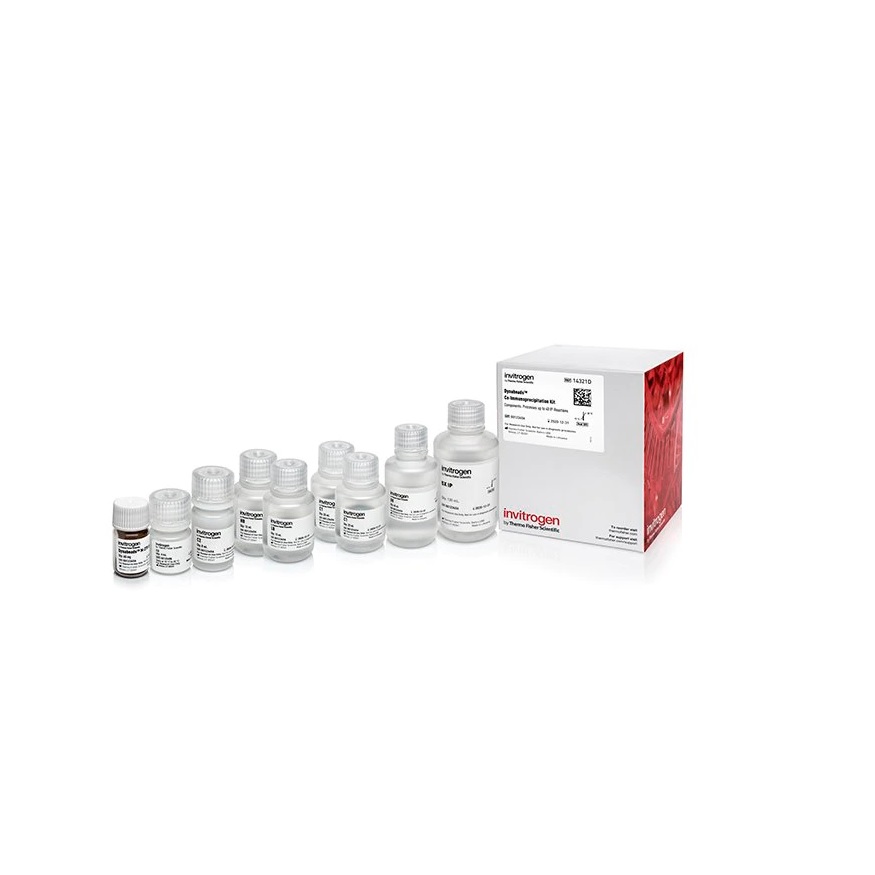 Invitrogen™ Dynabeads™ Co-Immunoprecipitation Kit