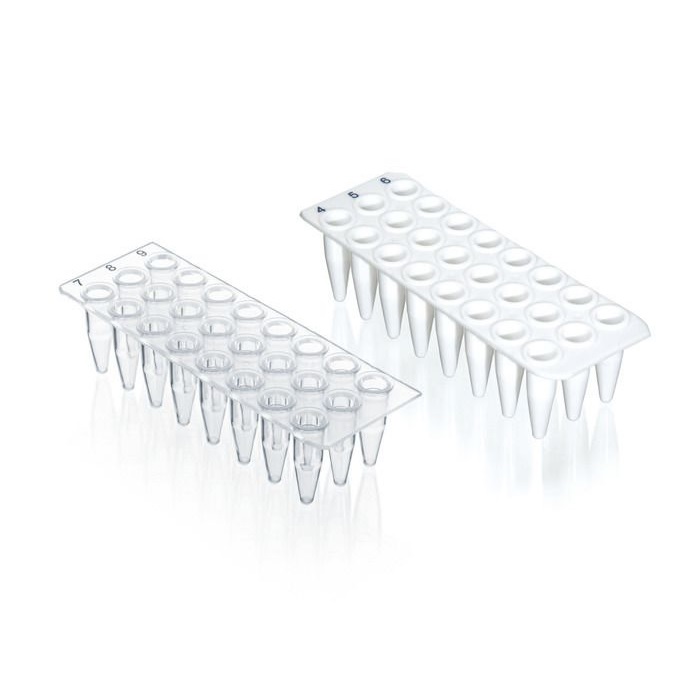BRAND™ PCR Plate 24-Well, BIO-CERT® PCR Quality, Standard, White