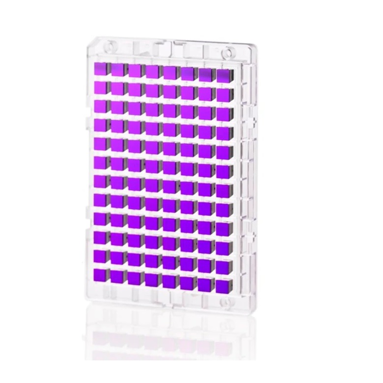 Applied Biosystems™ GeneChip™ Rat Gene 2.1 ST Array Plate, 96 Array Plate
