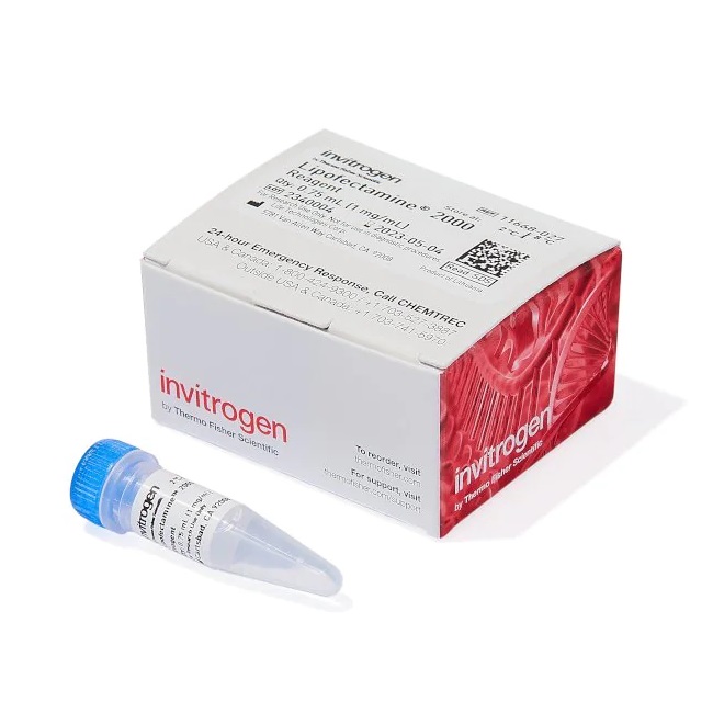 Invitrogen™ Lipofectamine™ 2000 Transfection Reagent, 0.75 mL