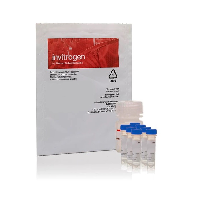 Invitrogen™ EnzChek™ Gelatinase/Collagenase Assay Kit, 250-2,000 assays