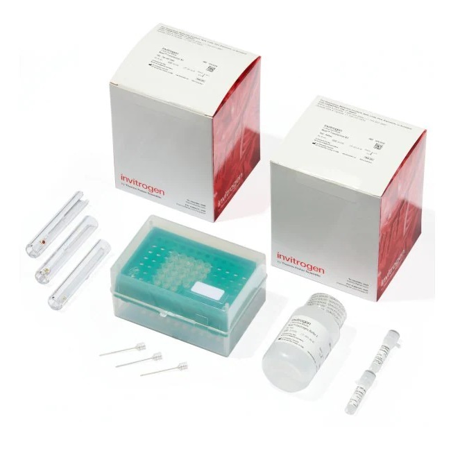 Invitrogen™ Neon™ Transfection System 10 μL Kit, 96 x 2 reaction