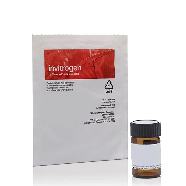 Invitrogen™ Albumin from Bovine Serum (BSA), Tetramethylrhodamine conjugate