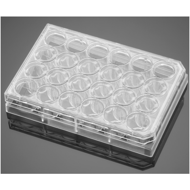 Corning® BioCoat® Poly-D-Lysine 24-well Clear Flat Bottom TC-treated Multiwell Plate, with Lid, 50/Case