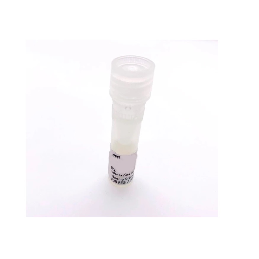 Thermo Scientific™ pCMV-Gaussia Luc Vector for Luciferase Assays
