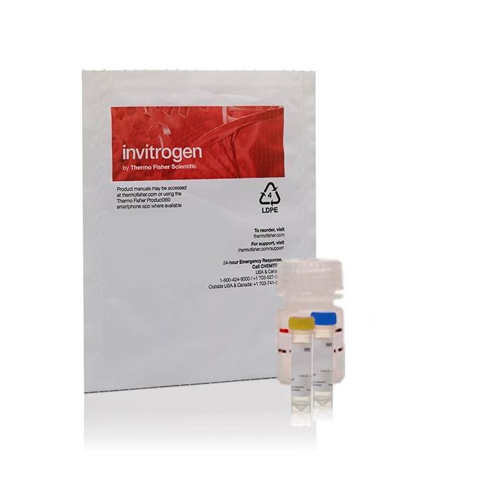 Invitrogen™ EnzChek™ Lysozyme Assay Kit