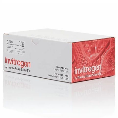 Invitrogen™ eBioscience™ Annexin V Apoptosis Detection Kit, FITC, Propidium Iodide, 200 Tests