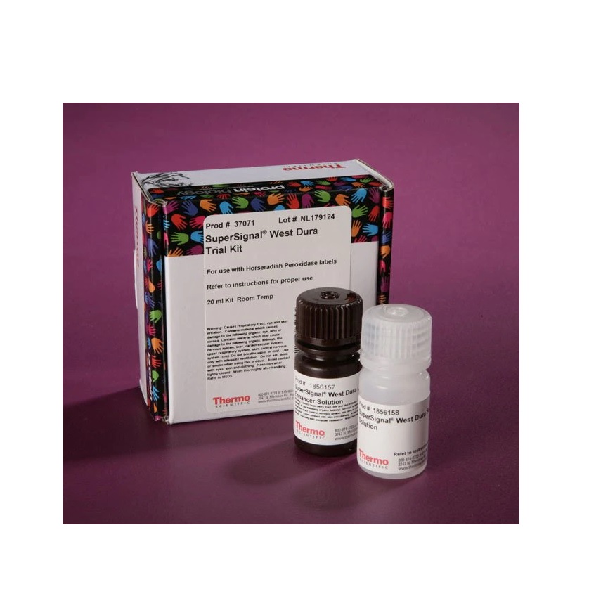 Browse Thermo Scientific™ SuperSignal™ West Dura Extended Duration Substrate, 20 mL