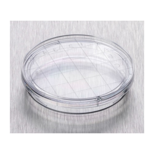 Corning® Gosselin™ Contact Dish with Tight Lid, 3 Vents, Sterile, Double Outer Bag