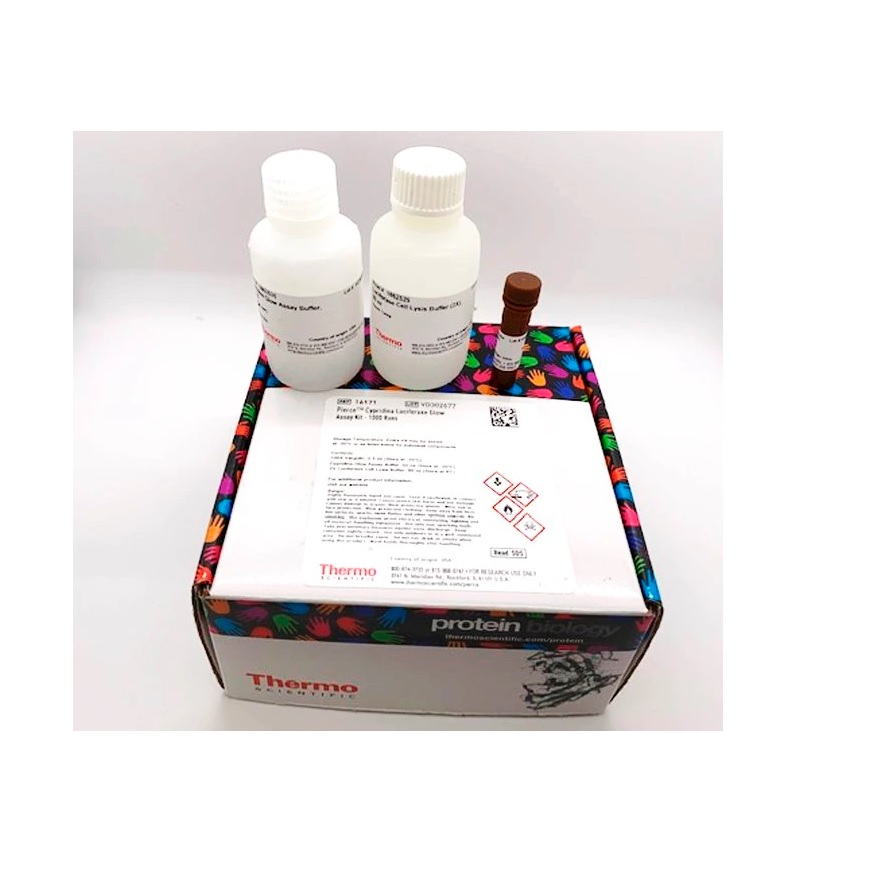 Thermo Scientific™ Pierce™ Cypridina Luciferase Glow Assay Kit, 1000 Reactions