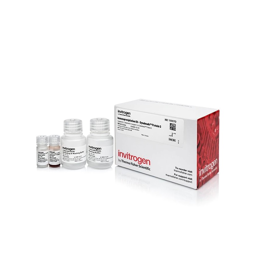 Invitrogen™ Dynabeads™ Protein G Immunoprecipitation Kit, 40 Reactions