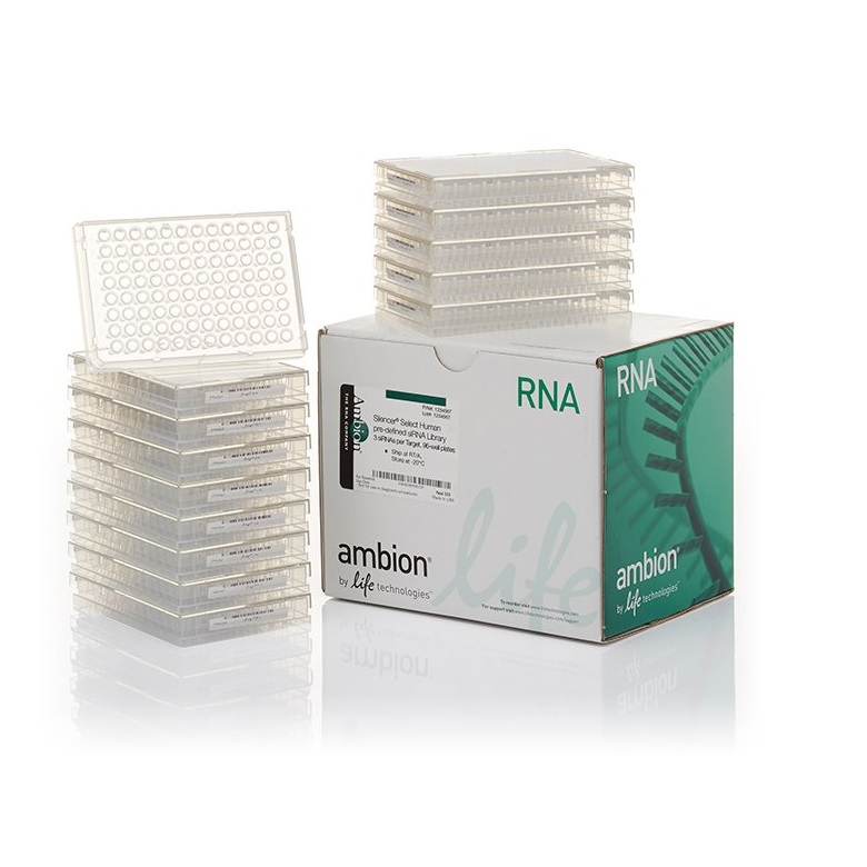 Invitrogen™ Silencer™ Select Human Drug Targets siRNA Library (96 well)