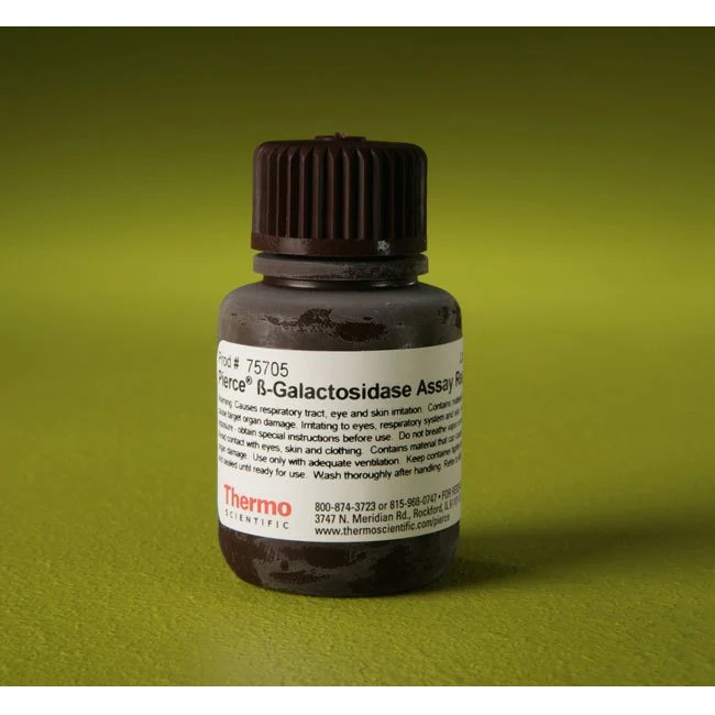 Thermo Scientific™ beta-Galactosidase Assay Reagent, 25 mL