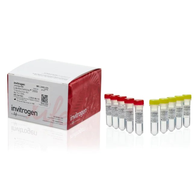 Invitrogen™ Lipofectamine™ 3000 Transfection Reagent, 5 x 1.5 mL