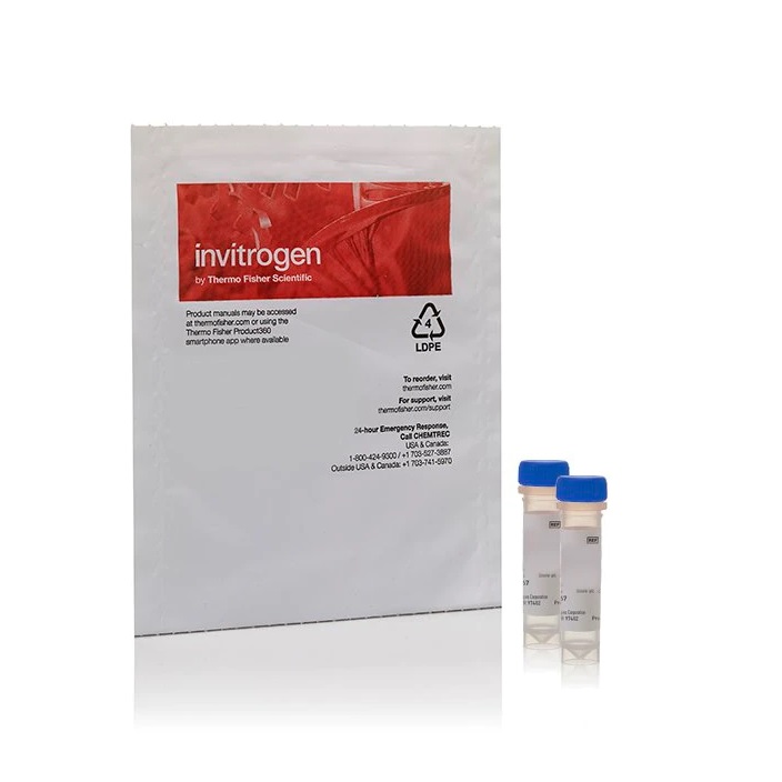 Invitrogen™ ELF™ 97 Endogenous Phosphatase Detection Kit