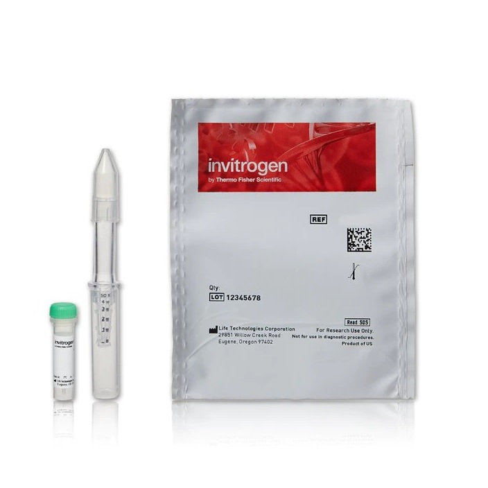 Invitrogen™ SiteClick™ sDIBO Alkyne Kits for Antibody Labeling, Alexa Fluor™ 555, 1 Each