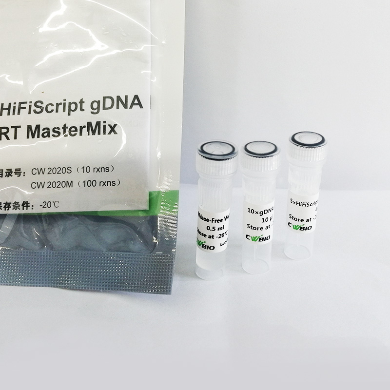 CWbio™, HiFiScript gDNA Removal RT MasterMix, 100 rxns