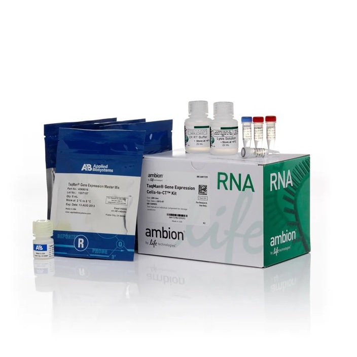 Invitrogen™ TaqMan™ Gene Expression Cells-to-CT™ Kit, 400 Reactions