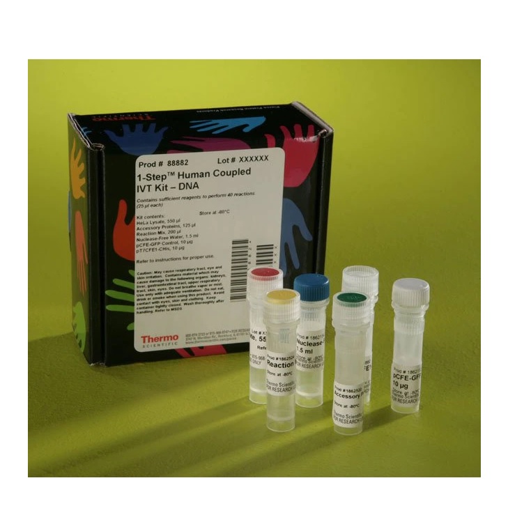 Thermo Scientific™ 1-Step Human Coupled IVT Kit - DNA, 8 Reactions