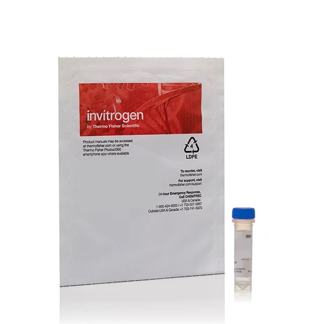 Invitrogen™ Cholera Toxin Subunit B (Recombinant), Alexa Fluor™ 555 Conjugate, 100 µg