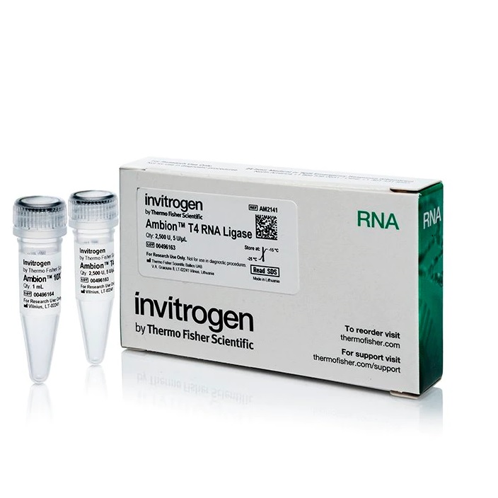 Invitrogen™ Ambion™ T4 RNA Ligase, cloned, 5 U/µL