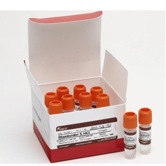 Gibco™ Blasticidin S HCl (10 mg/mL), 10 x 1 mL