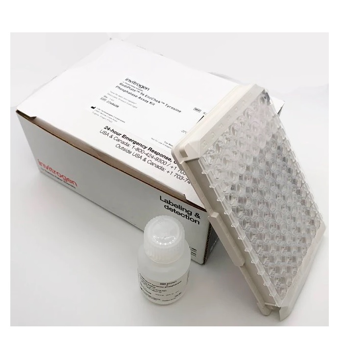 Invitrogen™ RediPlate™ 96 EnzChek™ Tyrosine Phosphatase Assay Kit