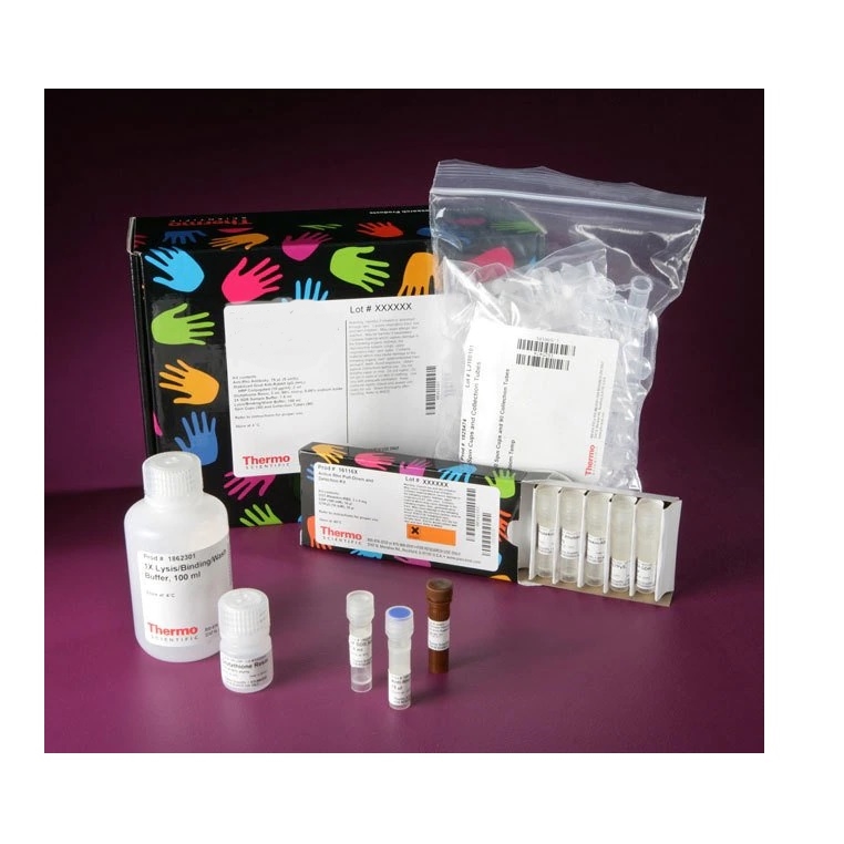 Thermo Scientific™ Active Rap1 Pull-Down and Detection Kit