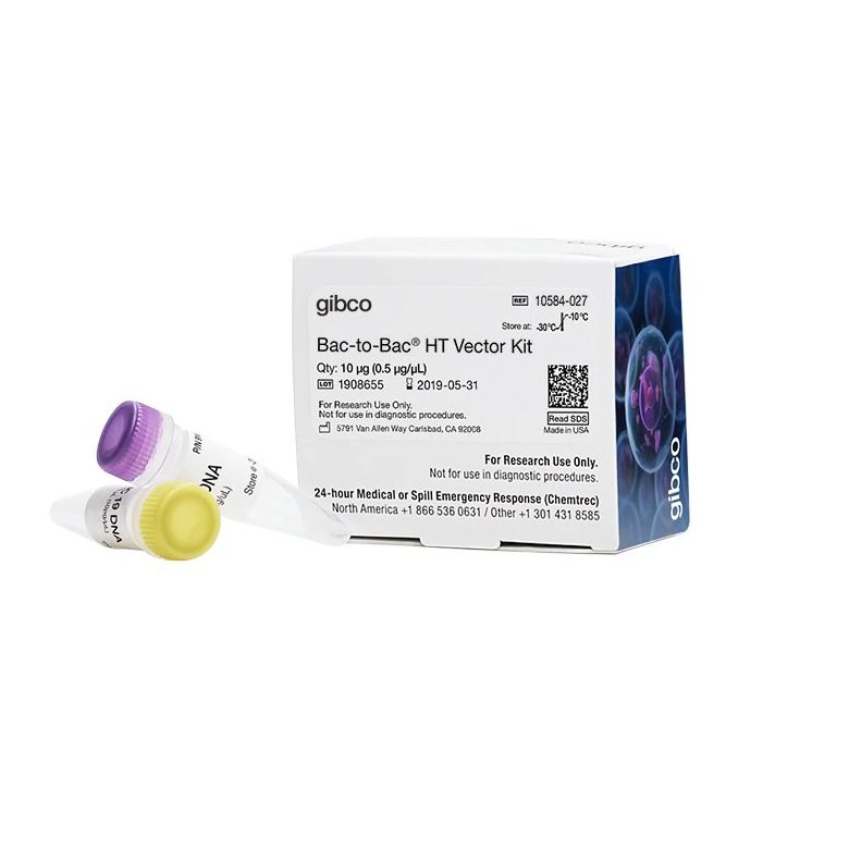 Gibco™ Bac-to-Bac™ HT Vector Kit