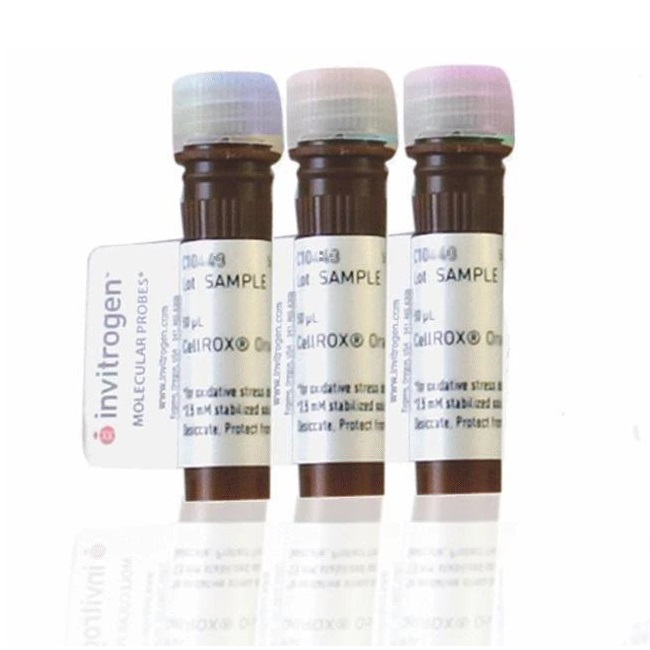 Invitrogen™ CellROX™ Reagent Variety Pack, for oxidative stress detection