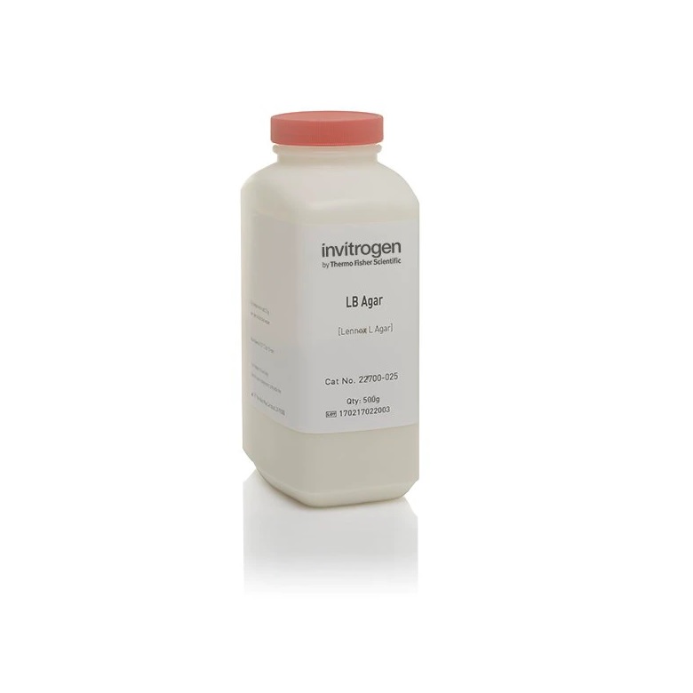 Invitrogen™ LB Agar, powder (Lennox L agar), 500 g